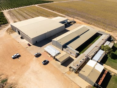 Property Arbusto and Boston Park avocado farms, Sappers Road, Gingin WA 6503 IMAGE 0