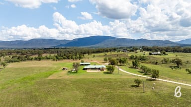 Property 2487 Jerrys Plains Road, Singleton NSW 2330 IMAGE 0