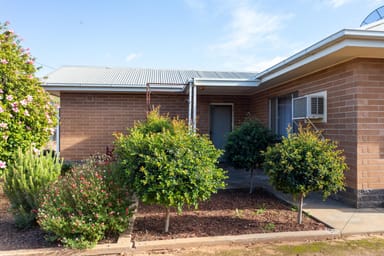Property 49 Tonkin Avenue, Barmera SA 5345 IMAGE 0
