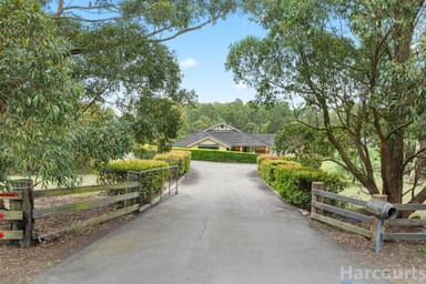 Property 31 Lakes Folly Drive, Branxton NSW 2335 IMAGE 0