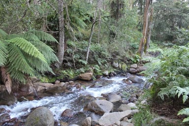 Property Lot 2 Off Neringla Road, BRAIDWOOD NSW 2622 IMAGE 0