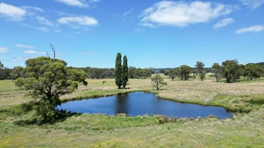 Property 374 Ivers Forest Road, Chatham Valley NSW 2787 IMAGE 0