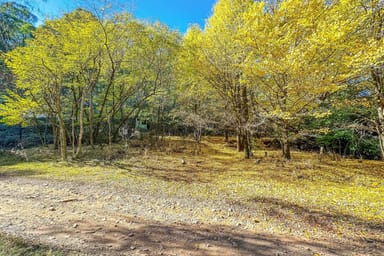 Property CA1/SEC 5 Buckland River Track, Buckland VIC 3740 IMAGE 0