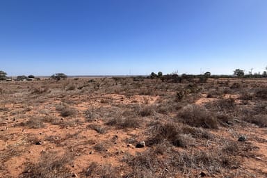 Property Lot 201 Muster Drive, Napperby SA 5540 IMAGE 0
