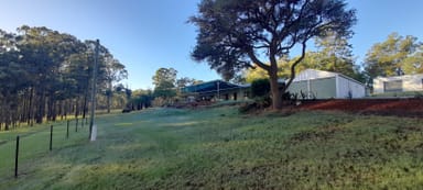 Property 2221 Willi Willi Road, MOPARRABAH NSW 2440 IMAGE 0