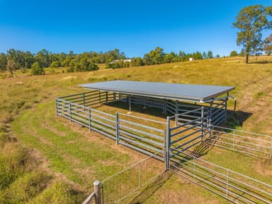 Property 81 Tatnell Rd, North Deep Creek QLD 4570 IMAGE 0