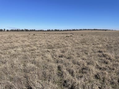 Property 1826 Tallimba Road, WEST WYALONG NSW 2671 IMAGE 0