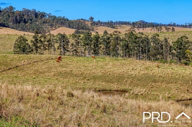 Property Lot 30, 46 Lynches Creek Road, WIANGAREE NSW 2474 IMAGE 0