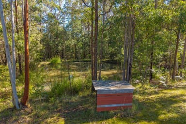 Property 37 Wortley Drive, CRESCENT HEAD NSW 2440 IMAGE 0