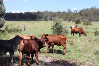 Property Lot 18 & 19, 110 Greentree Lane, Beeron, Mundubbera QLD 4626 IMAGE 0