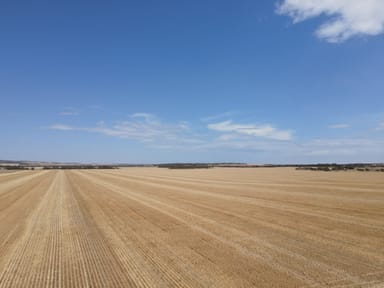 Property 'Raysons' Section 1 & 28 Eyre Highway, Solomon SA 5641 IMAGE 0