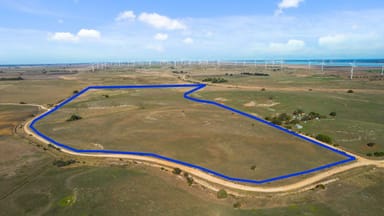 Property 359 Boundary Road, Tantanoola SA 5290 IMAGE 0