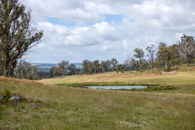 Property 712 Nowlands Road, GUYRA NSW 2365 IMAGE 0