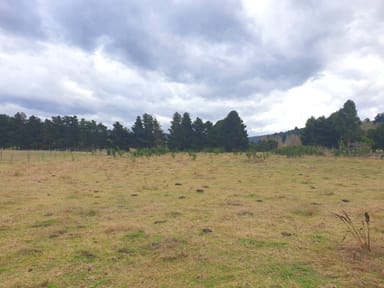 Property Lot 2 Cemetery Road, GEEVESTON TAS 7116 IMAGE 0