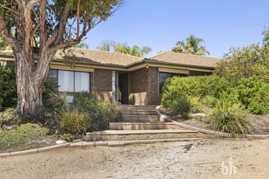 Property 22 Thiele Avenue, LOXTON SA 5333 IMAGE 0