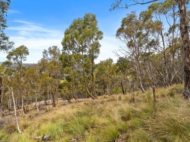 Property 193 Forest Road, West Hobart TAS 7000 IMAGE 0