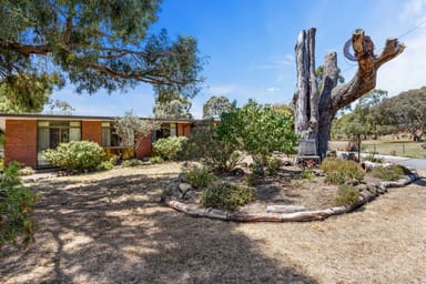 Property 29 Muscatel Street, Invermay VIC 3352 IMAGE 0