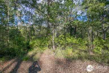 Property Lot 4 Walsh Lane, Yarravel NSW 2440 IMAGE 0