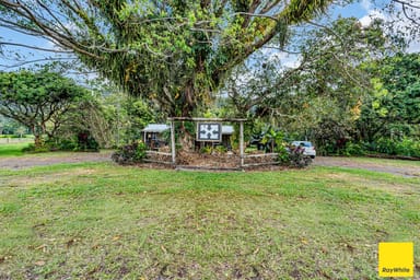 Property 2539 Mossman Daintree Road, Lower Daintree QLD 4873 IMAGE 0