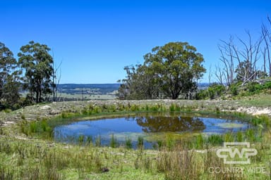 Property 11, Ten Mile Rd, DEEPWATER NSW 2371 IMAGE 0