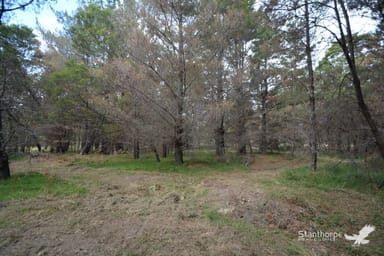 Property 222, Sunrise Road, Sugarloaf QLD 4380 IMAGE 0