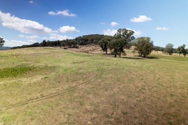 Property - Moyhu-Meadow Creek Road, MOYHU VIC 3732 IMAGE 0