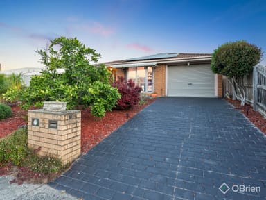 Property 8 Colwyn Close, Langwarrin VIC 3910 IMAGE 0