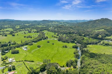 Property 981 Numinbah Road, Crystal Creek NSW 2484 IMAGE 0