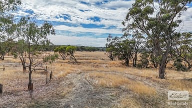 Property 29574 & 29 Spencers Brook Road, Spencers Brook WA 6401 IMAGE 0