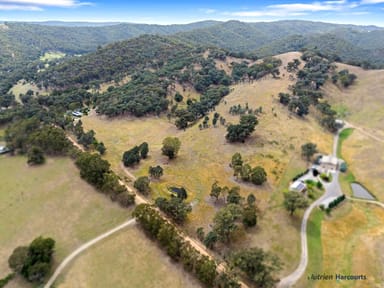 Property 232 Shannons Road, MURRINDINDI VIC 3717 IMAGE 0