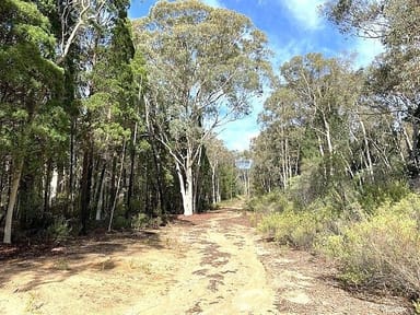 Property 150 Reedy Creek Rd, Rylstone NSW 2849 IMAGE 0