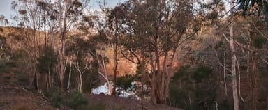 Property 266 Strawberry Creek Road, WINDELLAMA NSW 2580 IMAGE 0