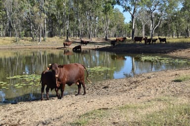 Property 822 Emu Plains Road, Collinsville QLD 4804 IMAGE 0