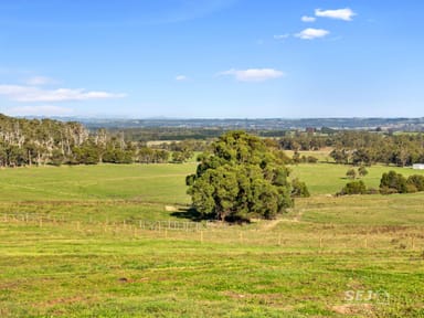 Property 715 Old Leongatha Road, KARDELLA SOUTH VIC 3950 IMAGE 0