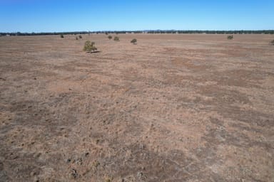 Property 830 Waarbilla Road, BARMEDMAN NSW 2668 IMAGE 0