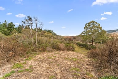 Property 193 Wyanbene Road, Wyanbene NSW 2622 IMAGE 0