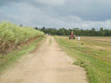 Property Lot 1 Jack Evans Drive, SILKY OAK QLD 4854 IMAGE 0