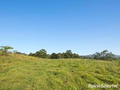 Property 566 Koonorigan Road, The Channon NSW 2480 IMAGE 0