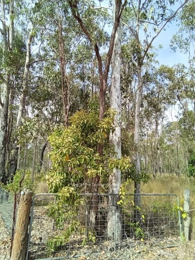 Property 189 Millstream Pde, Millstream QLD 4888 IMAGE 0