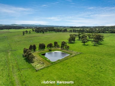 Property 320 Outtrim-Inverloch Road, Outtrim VIC 3951 IMAGE 0