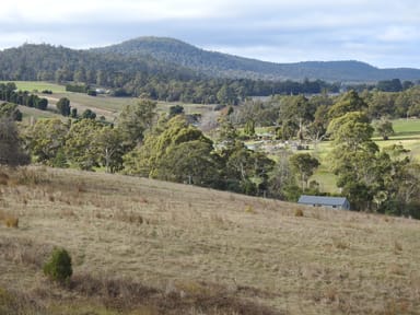 Property 22 Henry Street, HILLWOOD TAS 7252 IMAGE 0