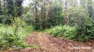 Property 68 Forest Creek Road, Daintree QLD 4873 IMAGE 0