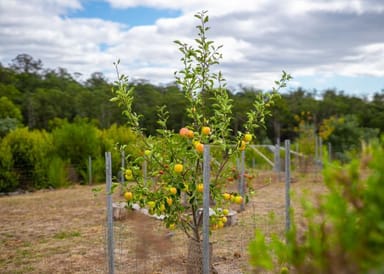 Property 296a Long Plains Road, Exeter TAS 7275 IMAGE 0
