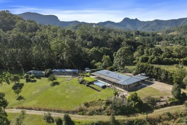 Property 291 Upper Crystal Creek Road, CRYSTAL CREEK NSW 2484 IMAGE 0