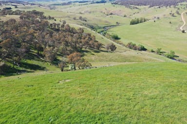 Property 121 Blue Hills Road, Golspie NSW 2580 IMAGE 0