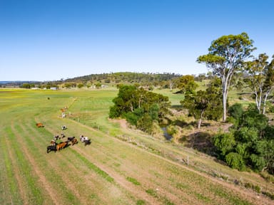 Property Lot 2 Gomoran Douglas Rd, Douglas QLD 4354 IMAGE 0