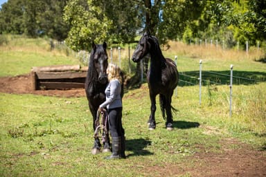 Property 8595 Waterfall Way, Ebor NSW 2453 IMAGE 0