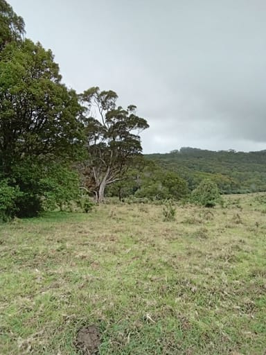 Property 11551 Kennedy Hwy, Evelyn QLD 4888 IMAGE 0