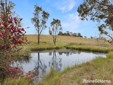 Property MOUNT RANKIN NSW 2795 IMAGE 0