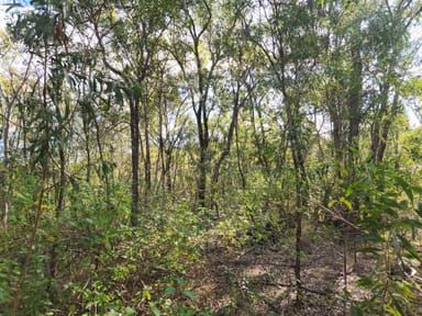 Property Lot 5 Duckpond Road, MOOLBOOLAMAN QLD 4671 IMAGE 0